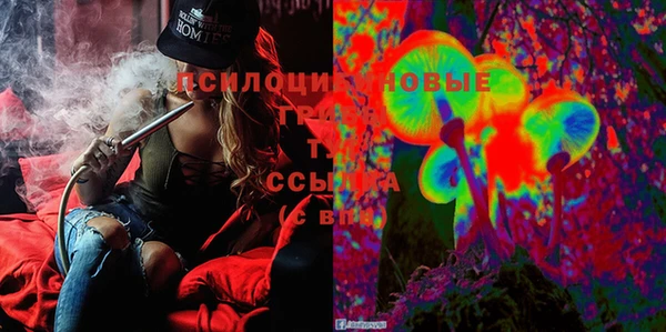 PSILOCYBIN Лабытнанги