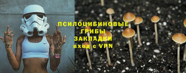 PSILOCYBIN Лабытнанги